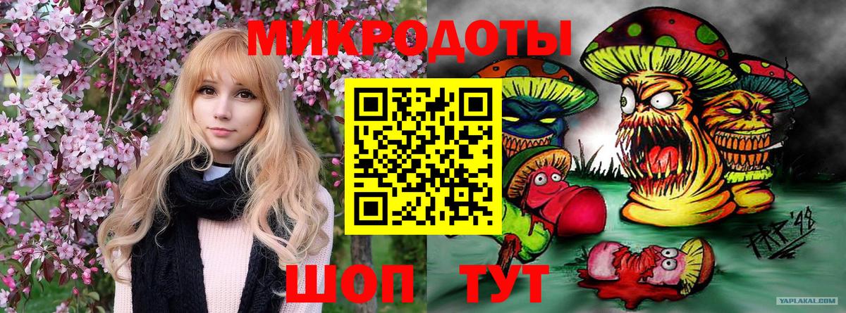 Галлюциногенные грибы Psilocybe  Галлюциногенные грибы Cubensis  Зима  Вход с VPN 